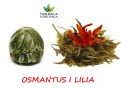OSMANTUS I LILIA5